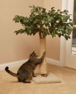Scratching Cat Tree House